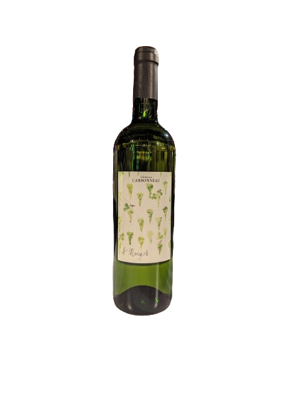 Château Carbonneau Margot blanc 2022 75CL